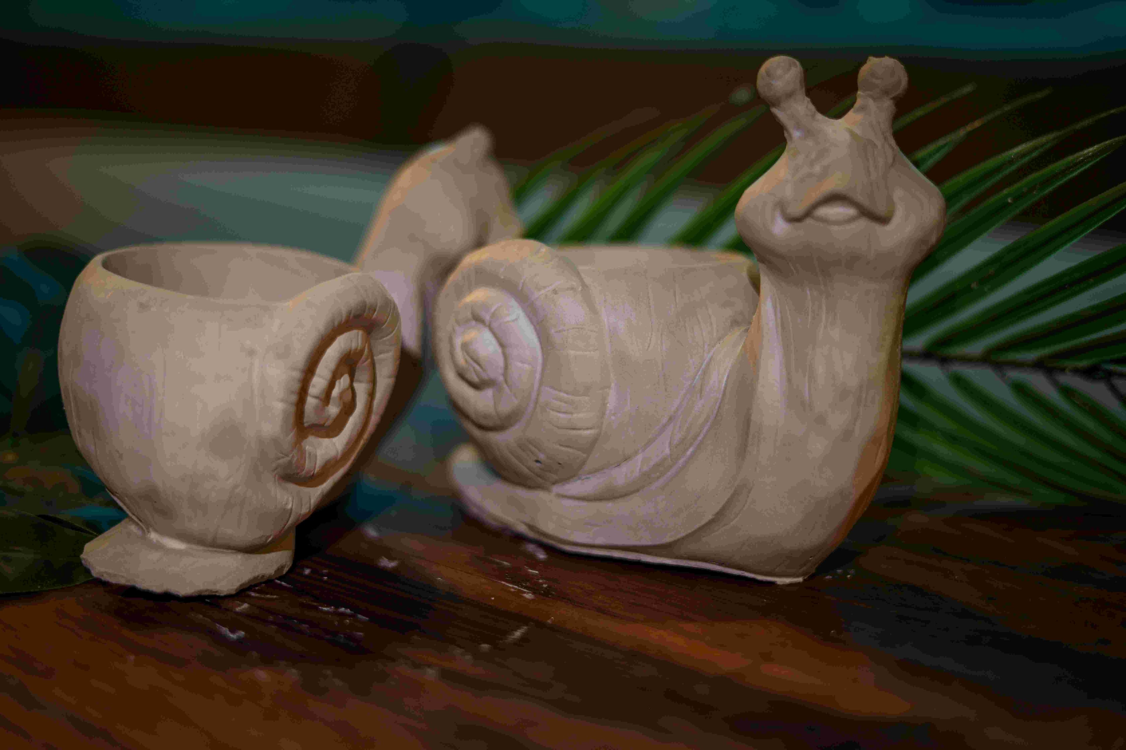 Гипсов охльов